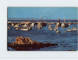 M-114419 Fishing Boats at Anchor in the Bay California