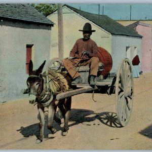 c1910s Laredo, TX Hispanic Man Ride Donkey Water Cart Postcard CT Photo A189