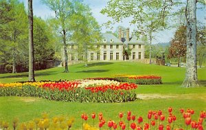 Tulips, Kingwood Center Massillon, Ohio OH