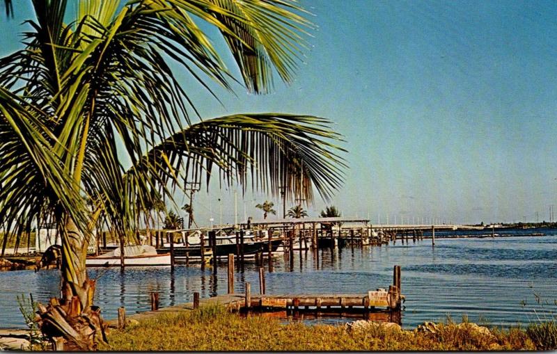 Florida Punta Gorda Yacht Basin On The Peace River