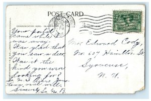 1907 Reaper, Old Man Wearing Hat and Pulling Out Grasses NY Postcard