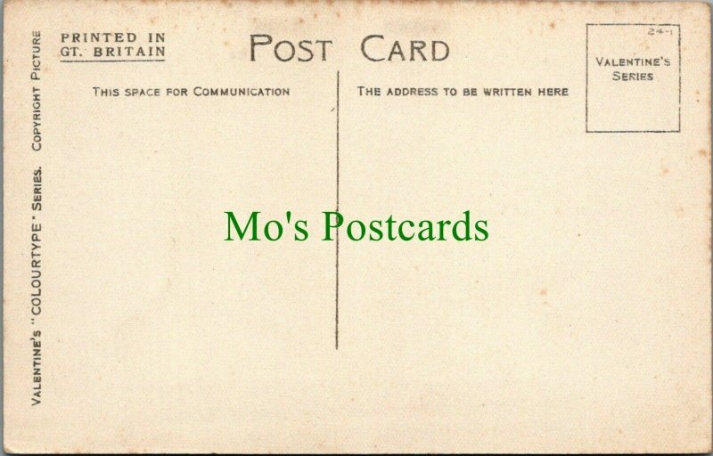 Herefordshire Postcard - The Yat Rock, Symonds Yat  RS28836