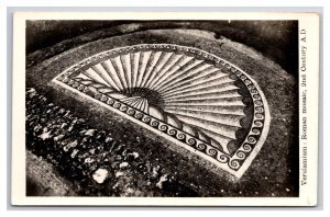 RPPC Roman Mosaic 2nd Century A.D Verulamium St Albans England UNP Postcard V22