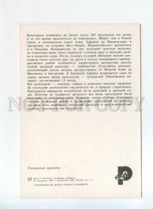 525554 USSR 1989 amphibians and reptiles blunt-nosed crocodile photo Kochetov