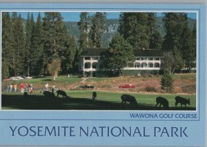 Wawona Gold Course Yosemite National Park Continental Postcard