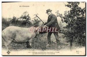 Postcard Old Pig Pork Folklore Group friendly Perigord truffle seeking