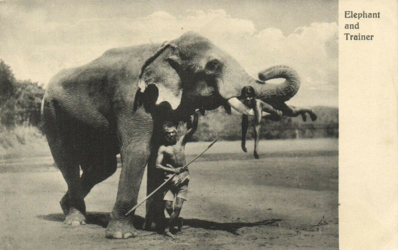 PC CPA SRI LANKA, CEYLON, ELEPHANT AND TRAINER, Vintage Postcard (b13642)