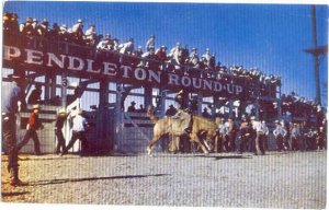 Bronco Busting at Pendleton Oregon OR Roundup, Rodeo, Pre-zip code Chrome