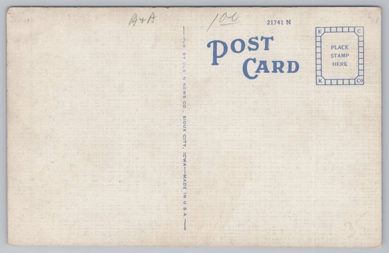 Linen~Sioux City Iowa~Big Sioux River~Vintage Postcard