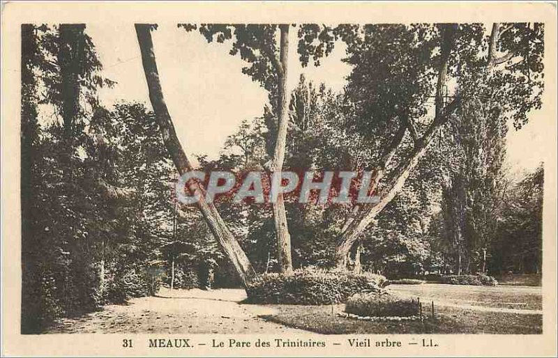 Old Postcard Meaux Trinitarian Park