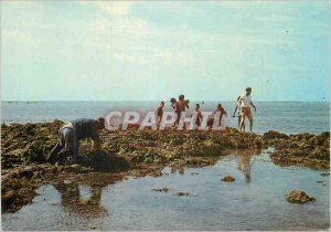 Postcard Modern Cotentin Picturesque Collection of Lichens and Peche a Maree ...