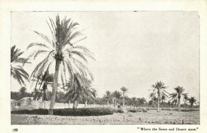 PC CPA IRAQ, WHERE THE SOWN AND DESERT MEET, VINTAGE POSTCARD (b16237)