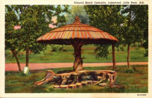 Arkansas Little Rock Lakewood Natural Boech Umbrella Curteich