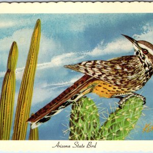 1967 AZ Arizona State Bird Cactus Wren Desert Scene Ken Haag Painted Art PC A334