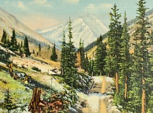 1940s Postcard Loveland Pass Colorado Torrey's Peak Beautiful Painting Vintage