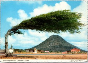 Postcard Aruba Hooiberg and Divi Divi Tree