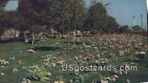 Pet Haven Cemetery & Crematory - Gardena, CA