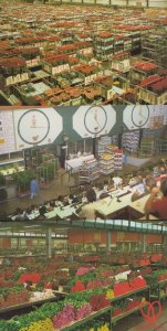 Amsterdam Holland World Flower Centre Displays Auction Rooms 3x Postcard s