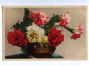 202271 Flowers in Vase CARNATIONS Vintage postcard