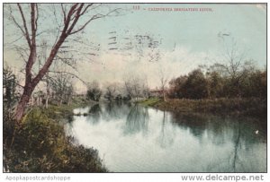 A California Irrigating Ditch 1907