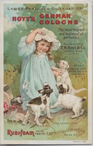 E.W. Hoyt & Co, Lowell, Ma Hoyt's German Cologne Advertising Card (49393)