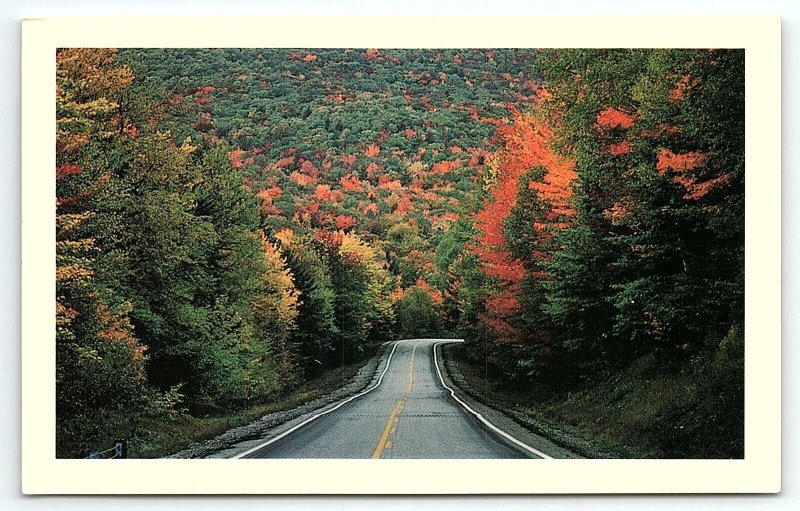 VINTAGE WHITE MOUNTAINS NH KANCAMAGUS HIGHWAY FALL CHUCK THEODORE POSTCARD P1547