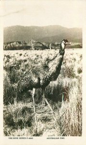 Australian Emu Rose Series P-4395 C-1910 RPPC Photo Postcard Rose 21-8636