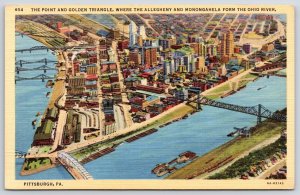 Postcard Point & Golden Triangle Allegheny & Monongahela from Ohio River Penn.