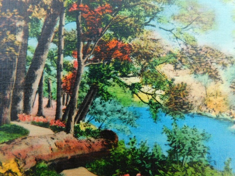 Greetings From Monett Missouri River Nature Linen Vintage Postcard