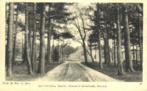 Cathedral Road in Poland Springs, Maine