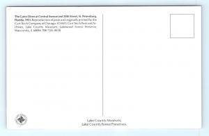 Postcard FL St Petersburg The Gator Diner  E18