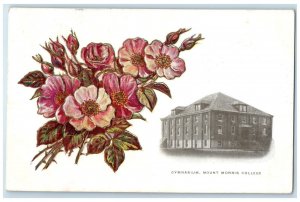 1909 Gymnasium Mount Morris College Mount Morris Illinois IL Embossed Postcard