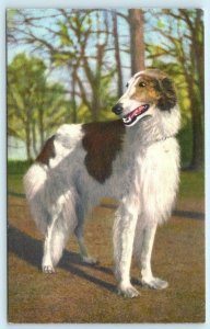 Dog Postcard BORZOI ~ RUSSIAN WOLFHOUND Printed in Switzerland #59