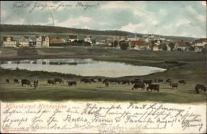 Hohenkurort Hahnenklee i. Harz c1905 Postcard