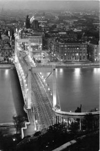 B73499 elisabeth bridge Budapest Hungary