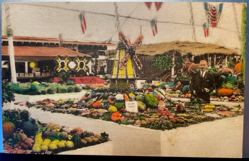 Vintage Postcard 1929 Danbury Fair, Fruit Exhibit, Danbury, Connecticut (CT)