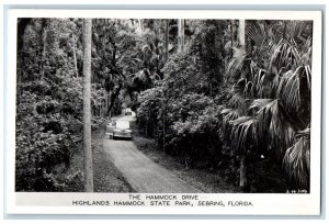 c1940's Hammock Drive Highlands State Park Sebring Florida RPPC Photo Postcard