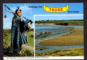 NS Greetings From Truro Nova Scotia Bagpipes Victoria Park Carte Postale Canada