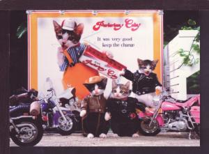 Motorcycle Cats Dressed Cat Post Card 2892