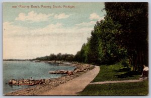 K25/ Roaring Brook Michigan Postcard c1910 Roraring Brook Shoreline 218