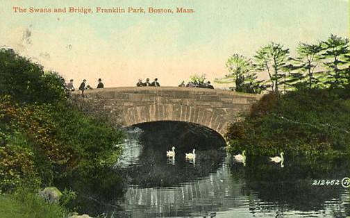 MA - Boston. Franklin Park, Swans and Bridge