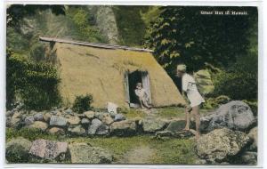 Grass Hut Hawaii 1910c postcard