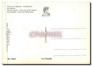 Postcard Modern Firenze Piazza della Signoria