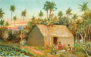 Artist impression C-1910 Private Native Hut Hawaii Postcard Island Curio 5423