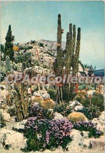 Modern Postcard The French Riviera French Riviera Exotic Garden