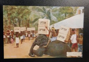 Mint USA Advertising Postcard Loading Elephant Eadella Tea Estate Ceylon Lipton