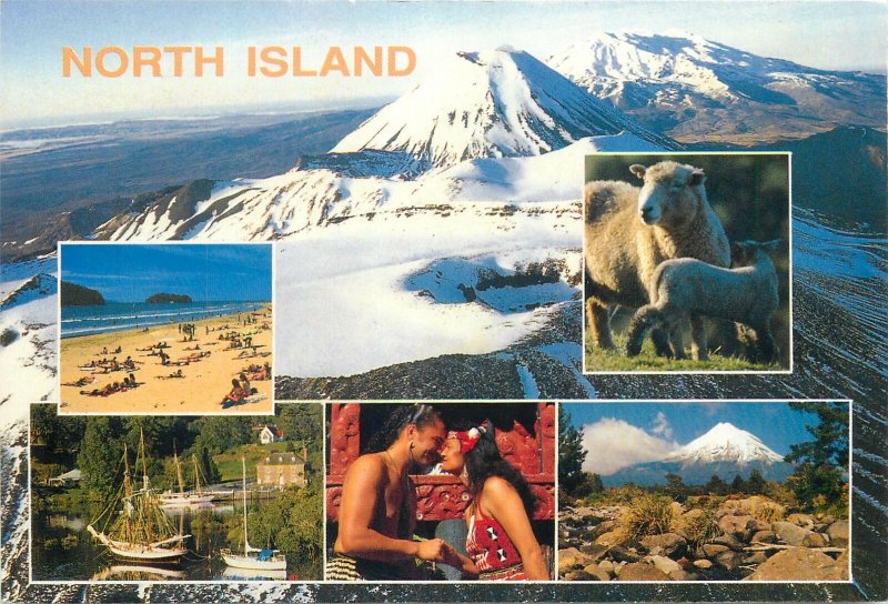 New Zealand Postcard North Island different aspects