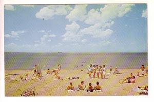 Peolple at the Beach, Bluewater - Bruce County, Ontario, Len Leiffer