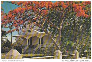 Poincianas With Beautiful Home Key West Florida