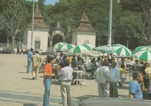 Coimbra Portugal Mermaids Garden Republic Square Postcard